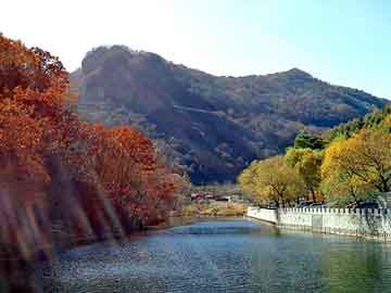 正新澳门二四六天天彩，双峰seo建站